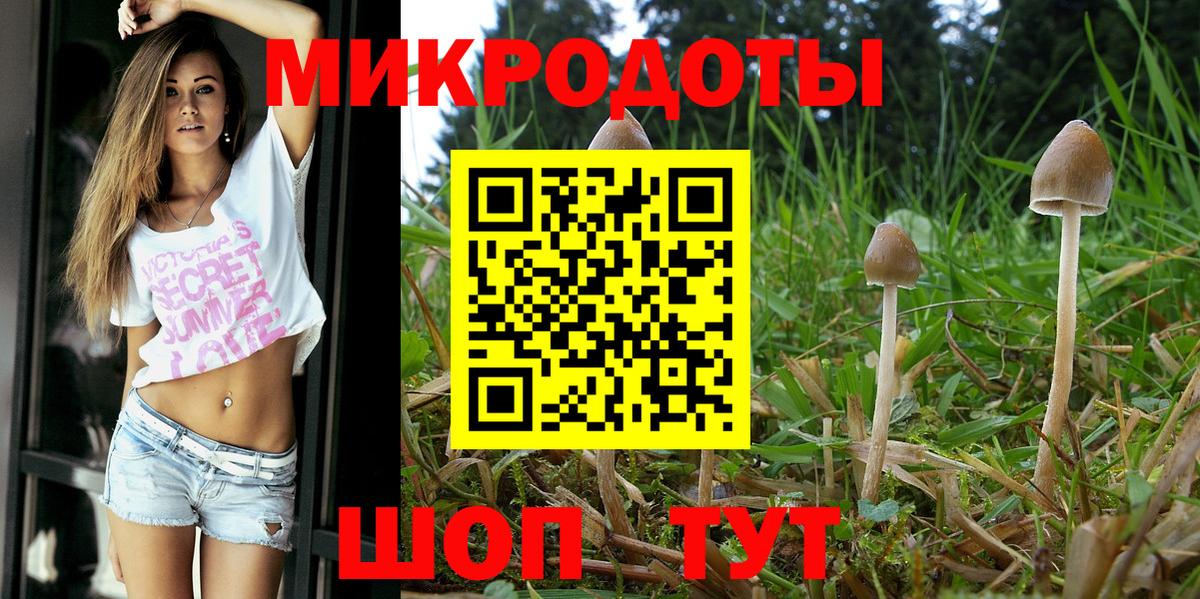 Среднеуральск  Галлюциногенные грибы Psilocybine cubensis  Вход с VPN 